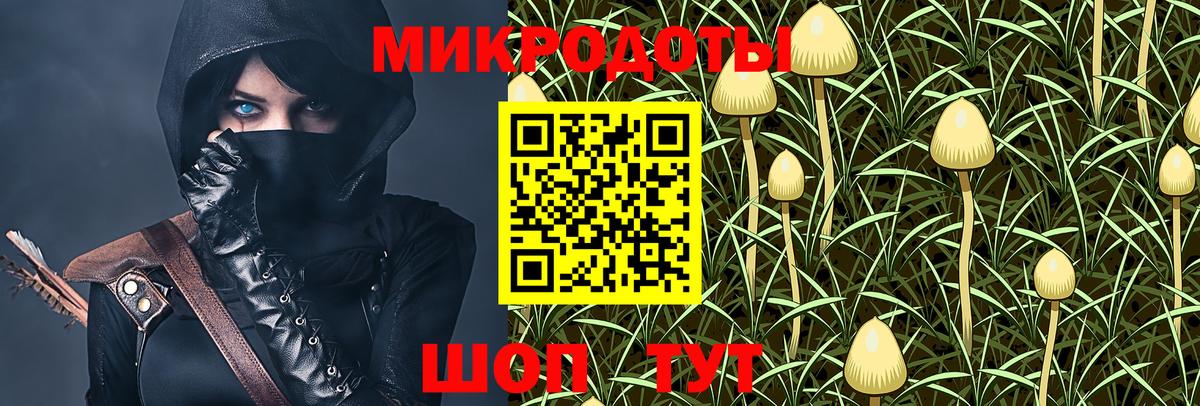 Дмитров  Псилоцибиновые грибы GOLDEN TEACHER  Вход с VPN 