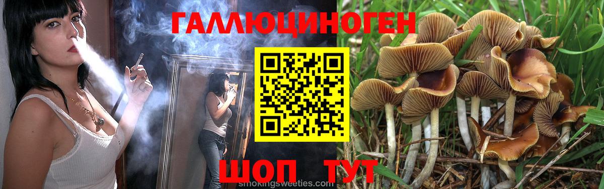 Галлюциногенные грибы Magic Shrooms Дмитров