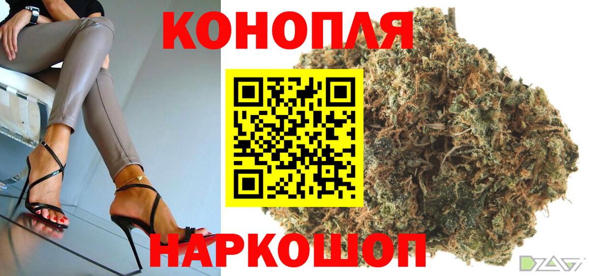 Шишки марихуана планчик Дмитров